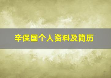 辛保国个人资料及简历