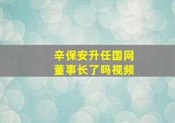 辛保安升任国网董事长了吗视频