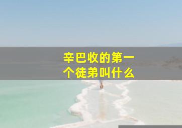 辛巴收的第一个徒弟叫什么