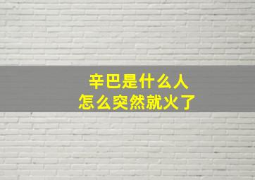 辛巴是什么人怎么突然就火了