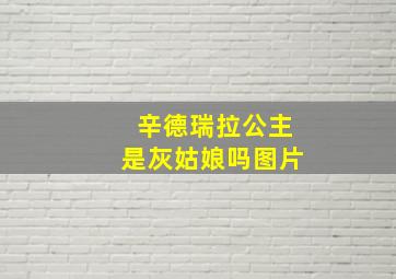 辛德瑞拉公主是灰姑娘吗图片