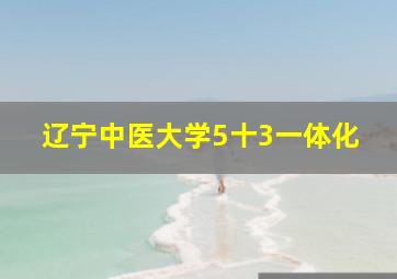 辽宁中医大学5十3一体化