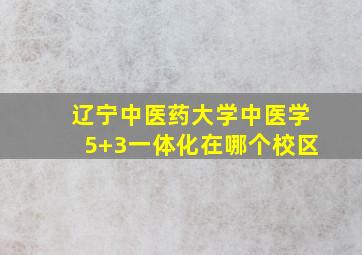 辽宁中医药大学中医学5+3一体化在哪个校区