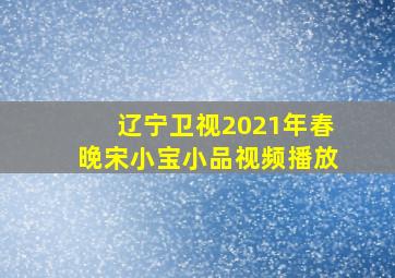 辽宁卫视2021年春晚宋小宝小品视频播放