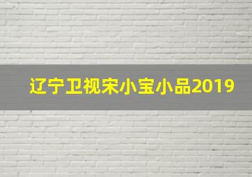 辽宁卫视宋小宝小品2019