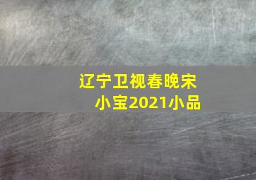 辽宁卫视春晚宋小宝2021小品