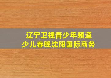 辽宁卫视青少年频道少儿春晚沈阳国际商务