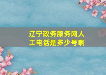 辽宁政务服务网人工电话是多少号啊