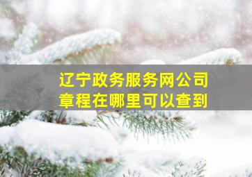 辽宁政务服务网公司章程在哪里可以查到