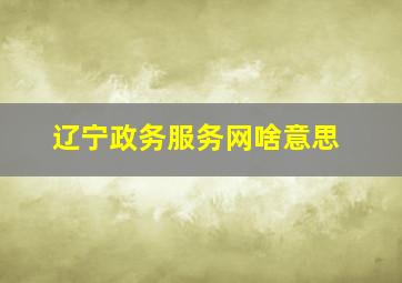 辽宁政务服务网啥意思