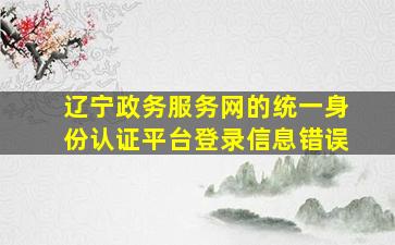 辽宁政务服务网的统一身份认证平台登录信息错误