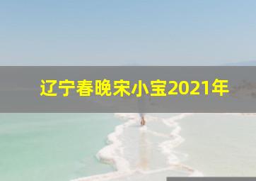 辽宁春晚宋小宝2021年