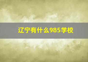 辽宁有什么985学校