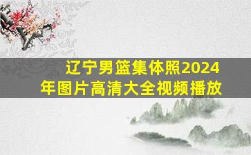 辽宁男篮集体照2024年图片高清大全视频播放