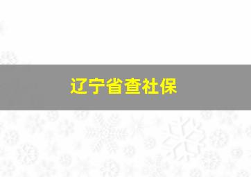 辽宁省查社保