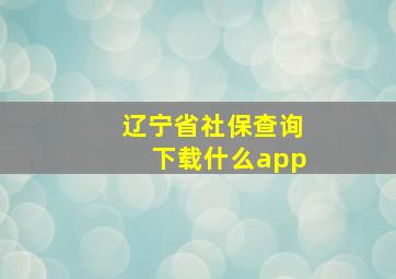 辽宁省社保查询下载什么app