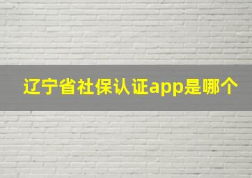 辽宁省社保认证app是哪个