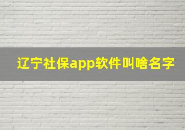 辽宁社保app软件叫啥名字