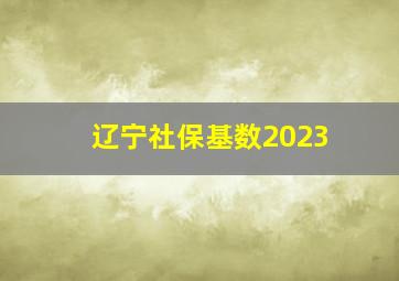 辽宁社保基数2023