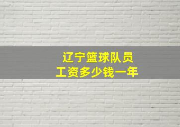 辽宁篮球队员工资多少钱一年