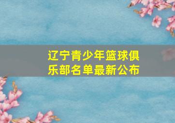 辽宁青少年篮球俱乐部名单最新公布