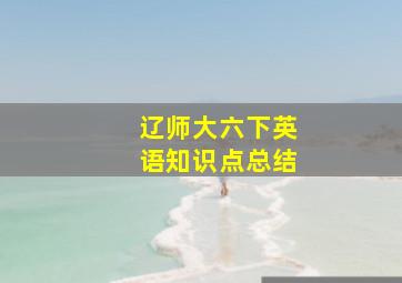 辽师大六下英语知识点总结