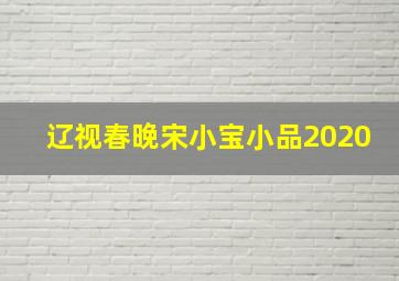 辽视春晚宋小宝小品2020