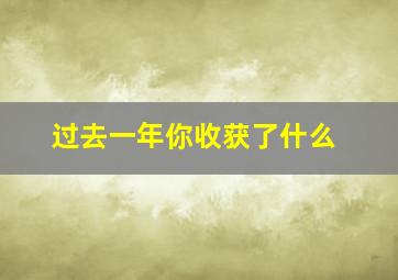 过去一年你收获了什么