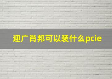 迎广肖邦可以装什么pcie