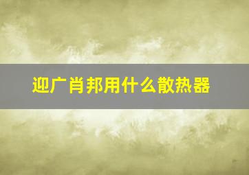 迎广肖邦用什么散热器