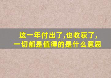 这一年付出了,也收获了,一切都是值得的是什么意思