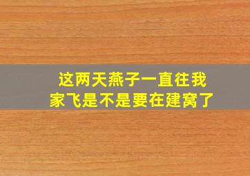 这两天燕子一直往我家飞是不是要在建窝了