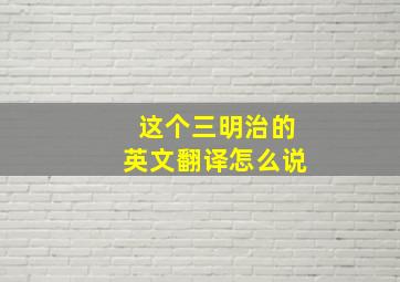 这个三明治的英文翻译怎么说