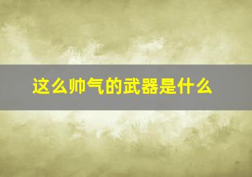 这么帅气的武器是什么