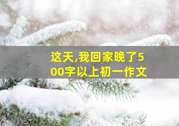 这天,我回家晚了500字以上初一作文