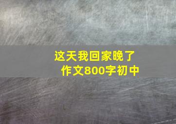 这天我回家晚了作文800字初中