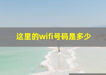 这里的wifi号码是多少