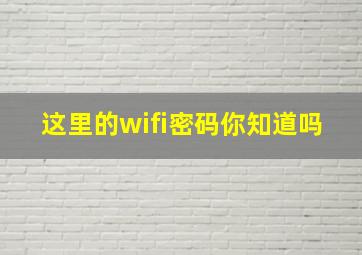 这里的wifi密码你知道吗