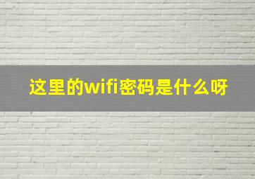 这里的wifi密码是什么呀