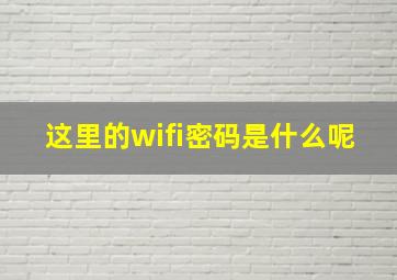 这里的wifi密码是什么呢