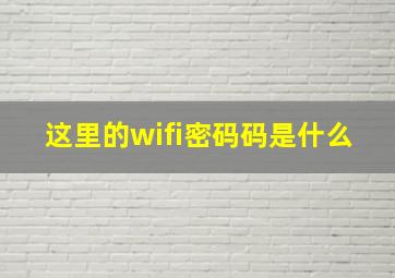 这里的wifi密码码是什么