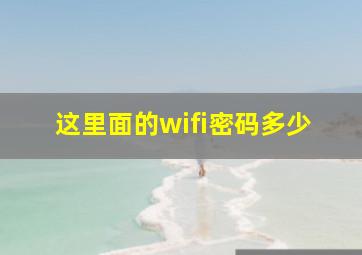 这里面的wifi密码多少