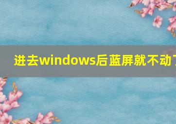 进去windows后蓝屏就不动了