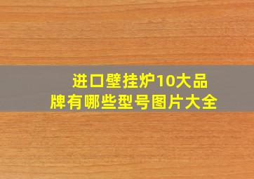 进口壁挂炉10大品牌有哪些型号图片大全