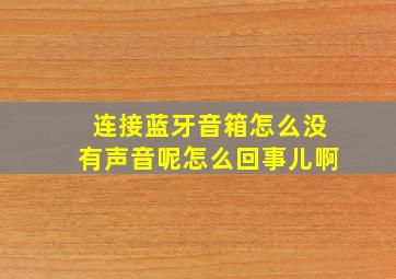 连接蓝牙音箱怎么没有声音呢怎么回事儿啊