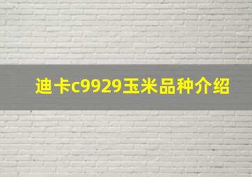 迪卡c9929玉米品种介绍