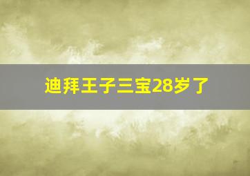 迪拜王子三宝28岁了