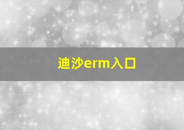 迪沙erm入口