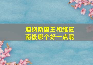 迪纳斯国王和维兹南极哪个好一点呢