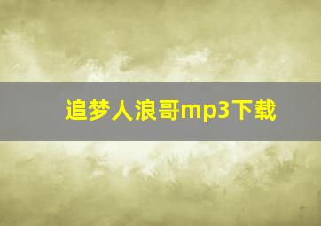 追梦人浪哥mp3下载